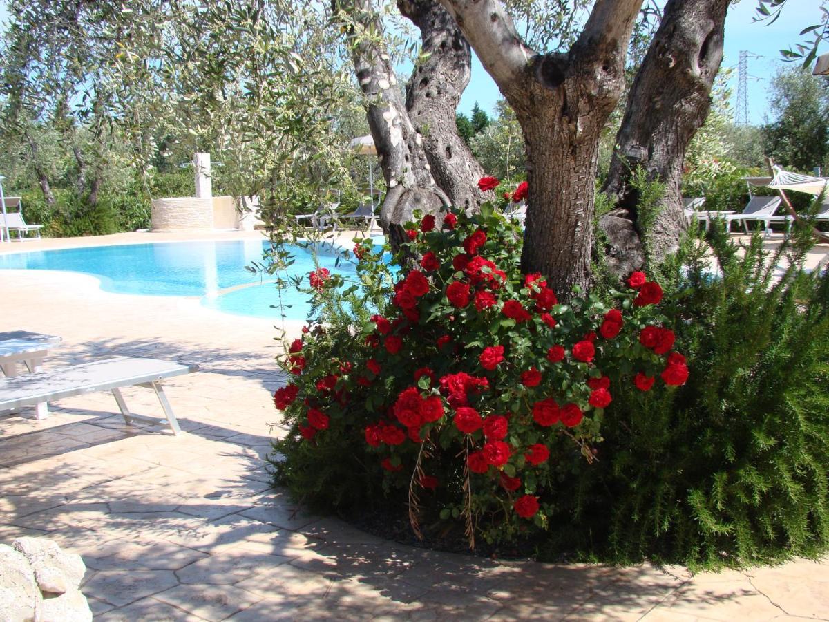 Agriturismo I Tesori Del Sud Vieste, Puglia Exterior photo